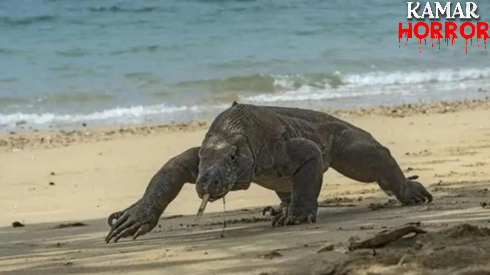 Komodo Liar Dicuri, 2 Penyelamatannya Berhasil